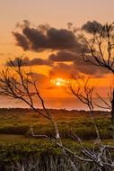 magnificent Sunrise Landscape