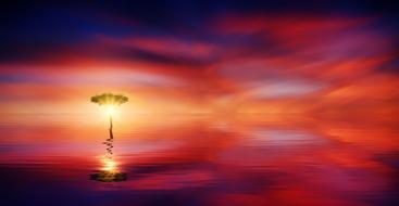 Tree in water at Sunset, colorful digital art, poster