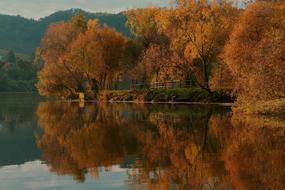 absolutely beautiful Autumn Reflection Projection