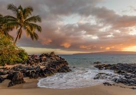 Landscape of the beautiful sandy beach with rocks and colorful plants