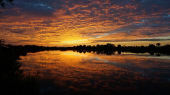 Beautiful Big Cypress National Preserve at colorful sunrise background in Florida, USA