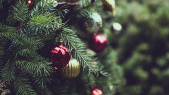 Christmas Tree Lights decoration balls