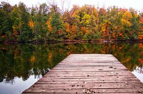 ravishing Autumn Colored