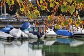 boats on the lake in autumn