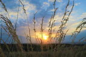 unusually beautiful Evening