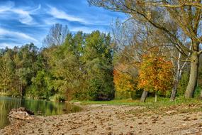 Autumn Green Fall