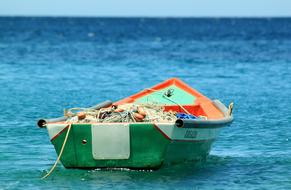 magnificent Boat Fishing Tropic