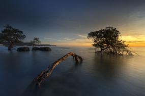 absolutely beautiful Sun Phuquoc Island