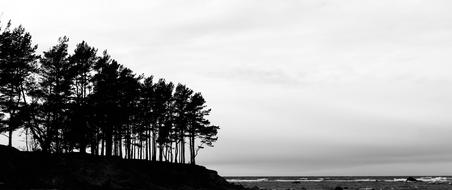 extraordinarily beautiful Nature Black And White