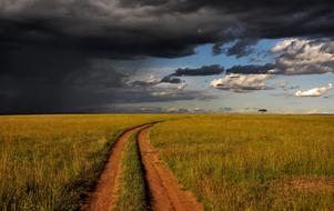 magnificent Kenya Africa Landscape