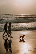 Couple Dog Walk beach