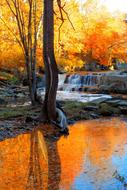 Waterfall and Trees orange sun