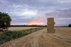 wonderful Normandy Fields
