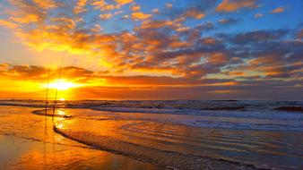Sea Fish Sunset