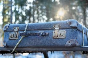 ravishing Luggage Cardboard