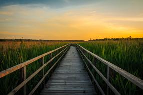 Sunset Spring Lake
