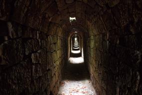 photo of the tunnel in the dungeon