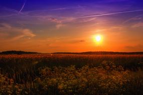 Summer Sunset over field