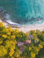 bird's eye view of a villa among green trees on the coast of sri lanka