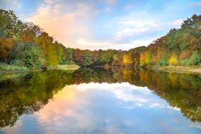 perfect Lake Reflection Trees