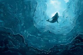 whale ocean blue water