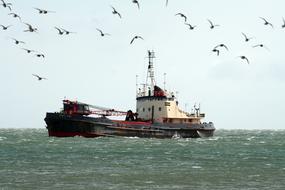 Seagulls above the ship on the colorful water