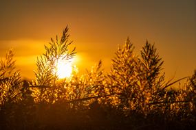 absolutely beautiful Sunset Landscape