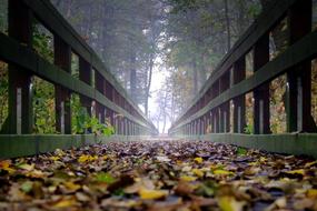 Wooden Bridge in Fog