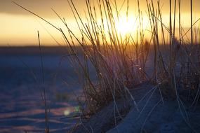 wonderful Sunset Summer