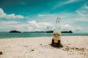 Beach and Beer Bottle