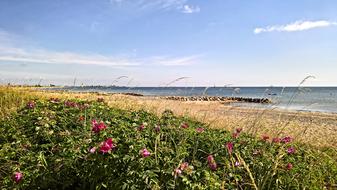 Baltic Sea Sand