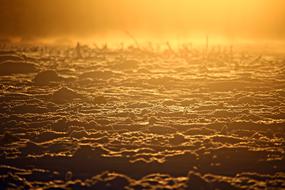 Sunrise Fog Mystical orange