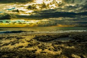 magnificent Coast Rocky