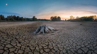 Cracks Dry sand