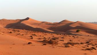 Desert red Dunes