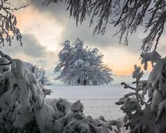 ravishing Sunset Pastel snow