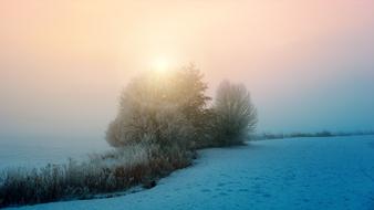 incredibly beautiful Winter Fog Sun