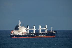 very beautiful Large Ship