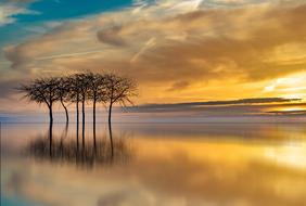Sunset Waters Dawn trees