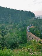 Train Bridge Nature