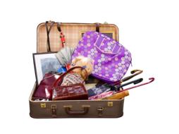 Travel Holidays Luggage 3d drawing