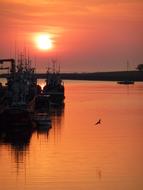 silhouettes of fishing boats in a quiet harbor at dusk