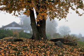 extraordinarily beautiful House Park View