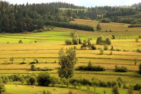 fields and meadows in countryside