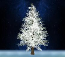 tree pine white night