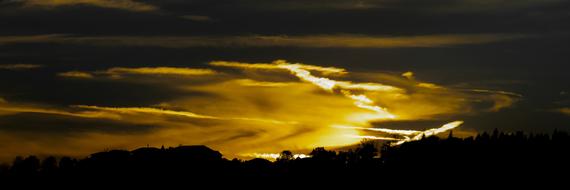 Beautiful landscape with the trees, at yellow, gradient sunset in the sky with clouds