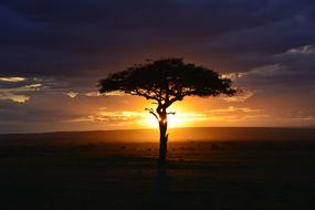 ravishing Africa Sunset