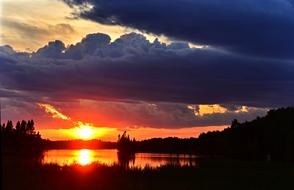 magnificent Sunset water forest