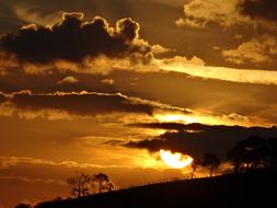 Sunset Horizon gold Cloud