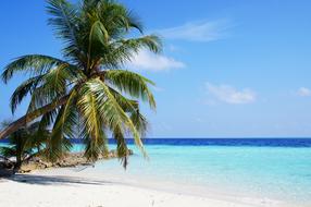 incredibly beautiful Maldives Sea Blue